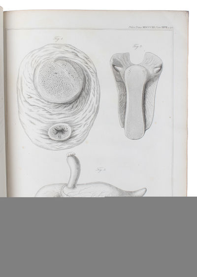 Particulars respecting the anatomy of the Dugong, intended as a Supplement to T.S. Raffles' Account of that Animal. (photo 3)