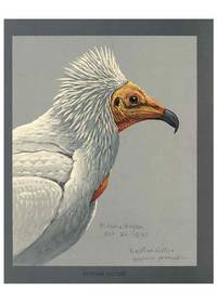 Reproducción/Reproduction 5977662839: Album of Abyssinian birds and mammals Chicago :Field...