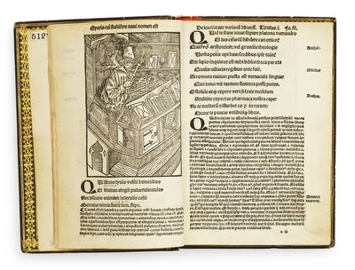 Navis stultifere collectanea vario carminum genere non sine eorundem familiari explanatione conflata...Venundantur parisiis in vico Sancti Jacobi sub signo Pellicani.  - [BADIUS' MORAL MAGNUM OPUS - ONE OF THE MOST BEAUTIFUL FRENCH POST-INCUNABLES] (photo 4)