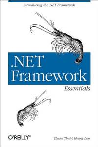 .Net Framework Essentials