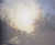 Todd Hido: Excerpts from Silver Meadows (Signed Limited Edition)