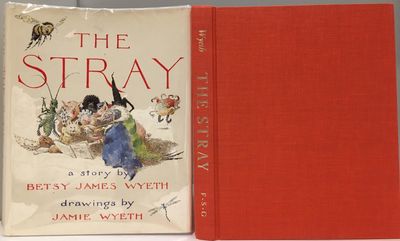 The Stray