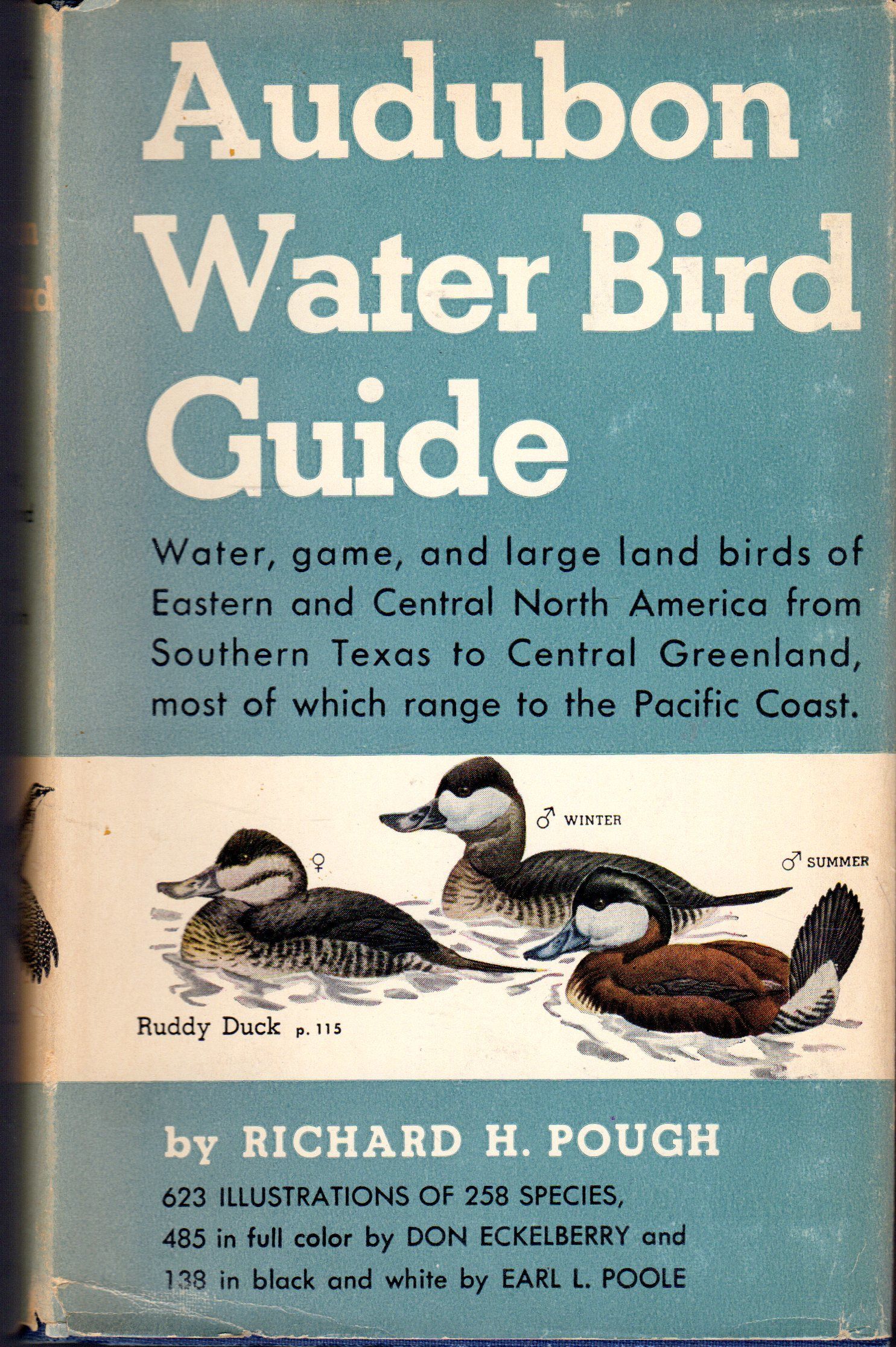 Audubon Water Bird Guide: Water, Game And Large Land Birds Eastern and  Central North America from Southern Texas&hellip; by Richard H Pough -  Hardcover - 1951 - from Dorley House Books (SKU: 084089)