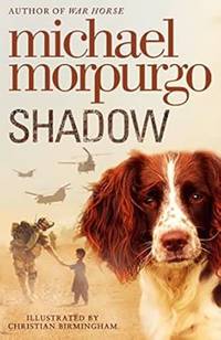 Shadow