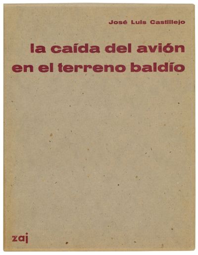 La Caída del Avión en el Terreno Baldío (Signed)