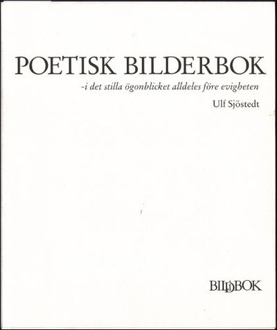 POETISK BILDERBOK - i det stilla ögonblicket…