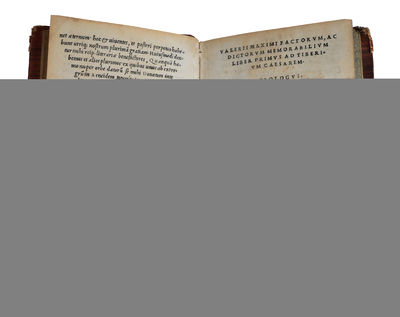 Dictorum et factorum memorabilium libri novem. (photo 6)
