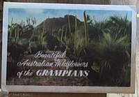 image of Beautiful Australian Wildflowers of the Grampians (Souvenir Folder)