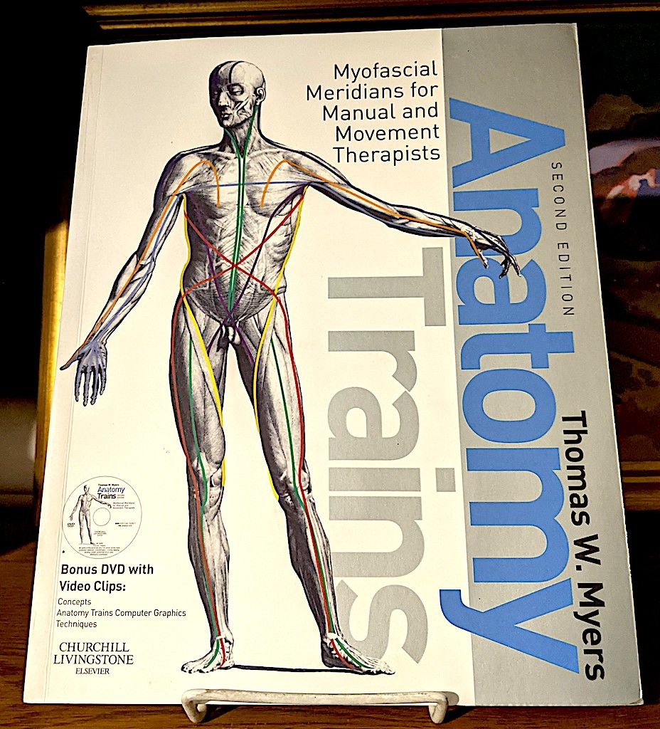 Anatomy Trains -- Myofascial Meridians for Manual and