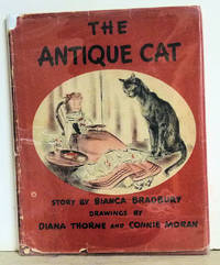 cover of The Antique Cat