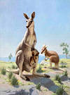 A Kangaroo Family