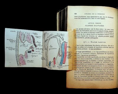 ORIGINAL COLOR DRAWINGS BY MEDICAL STUDENT. Precis d'Anatomie Descriptive. Aide-Memoire a l'Usage des Candidats au Premier Examen de Doctorat
