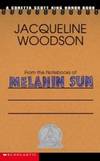 From the Notebooks of Melanin Sun by Jacqueline Woodson - 2003-05-09