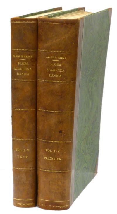 Flora agraricina Danica. Published under the…
