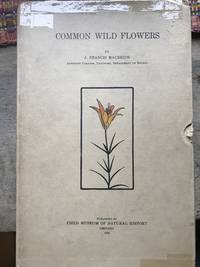 Common Wild Flowers by MacBride, J. Francis - 1924