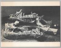 Nancy Graves: Sculpture and Drawing 1970 - 1972