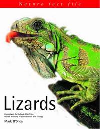 Nature Factfile: Lizards