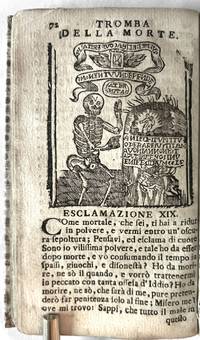Thumbnail 13