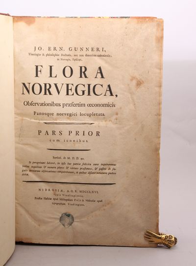 Flora Norvegica, Observationibus præsertim…