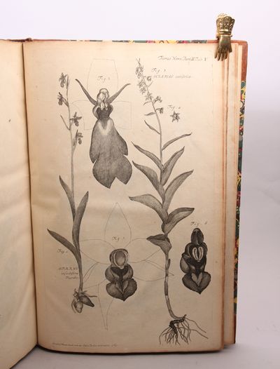 Flora Norvegica, Observationibus præsertim oeconomics Panosque norvegici locupletata. Two volumes. (photo 2)
