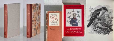 Guldörnen och duvorna. Fågelmotiv hos Strindberg.