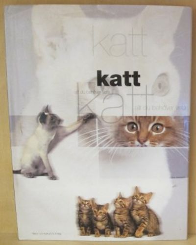 Katt - allt du behöver veta.