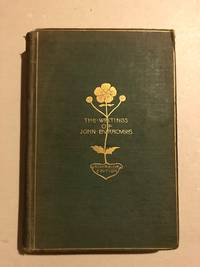 image of The Light of Day