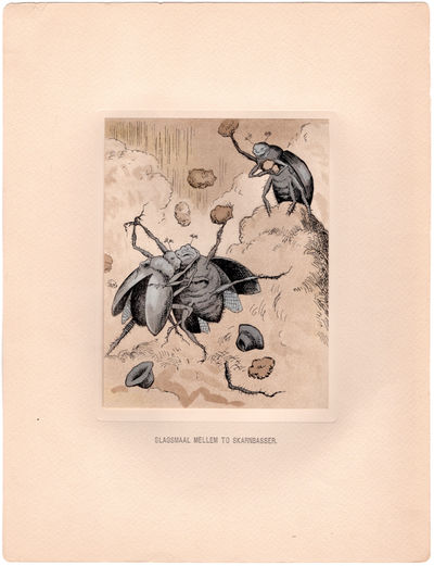 "Slagsmaal mellem to…