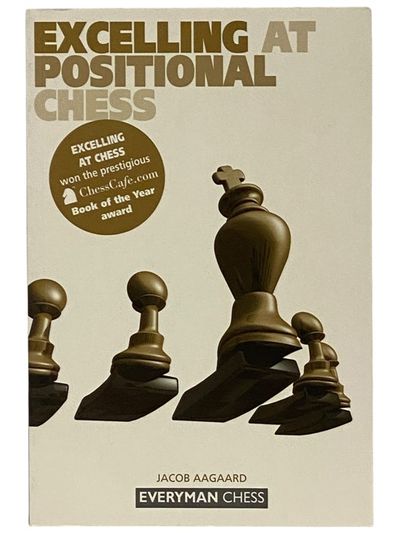 Excelling at Positional Chess (Everyman Chess)