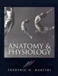 Fundamentals of Anatomy and Physiology : With Keys to Success Package by Frederic H. Martini - 1995