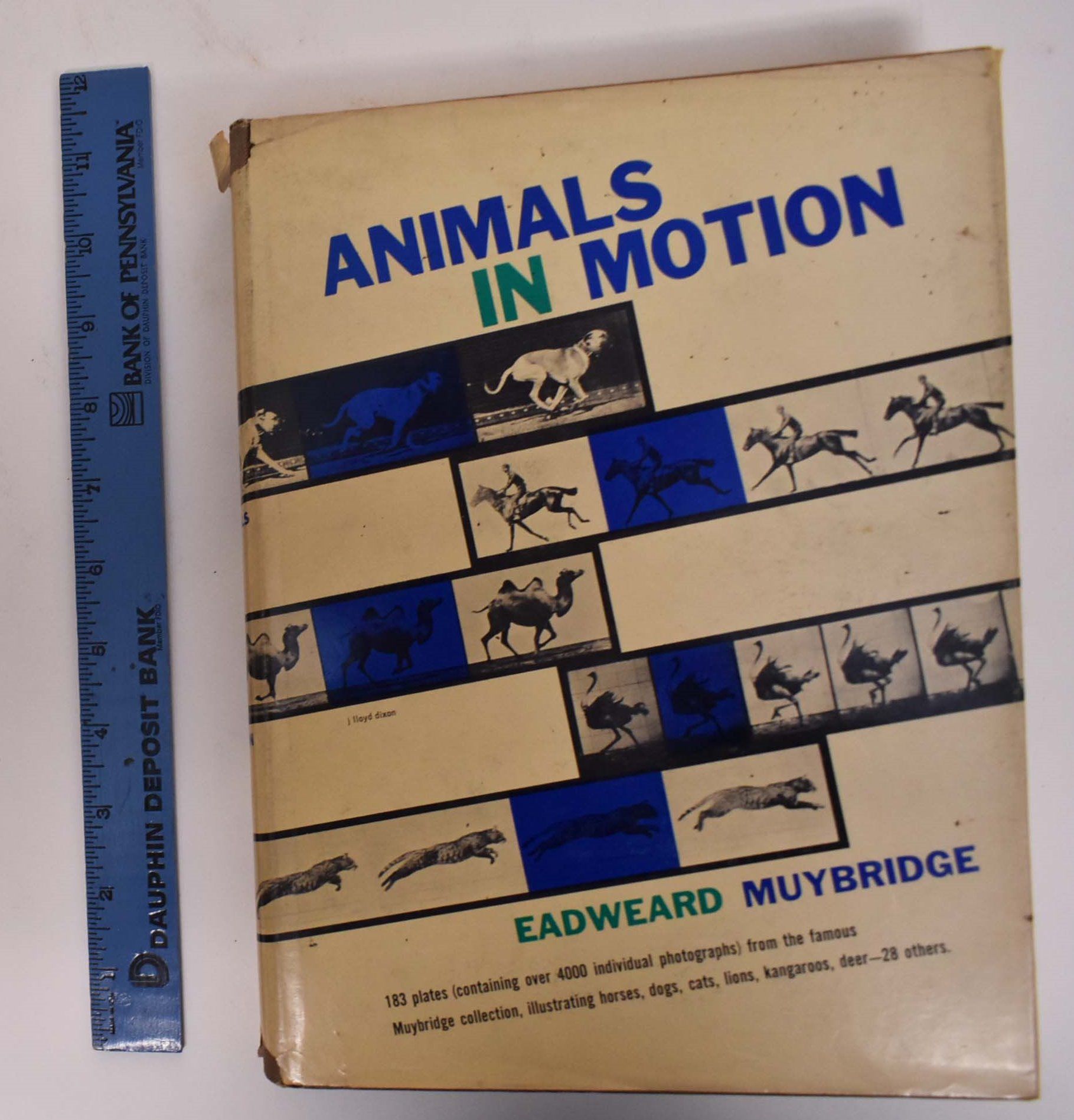 洋書 ANIMALS IN MOTION Animals in Motion: Muybridge, Eadweard: 9798857311554
