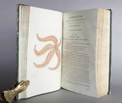 Zoologia danica seu Animalium Daniae et Norvegiae rariorum ac minus notorum descriptiones et historia. Vol I-IV ( i ett bind). (photo 3)