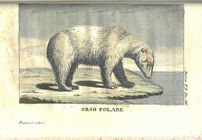 Storia cronologica dei viaggi al Polo Articointrapresi a fine di scoprire un passaggio fra l’Oceano Atlantico ed il Grande Oceano, dalle rpime navigazioni degli scandinavi fino alla spedizione seguita nell’anno 1808 sotto gli ordini de’ Capitani Ross e Buchan di Gio. Barrow inglese recata in lingua italiana da N. N. I-II. (photo 2)