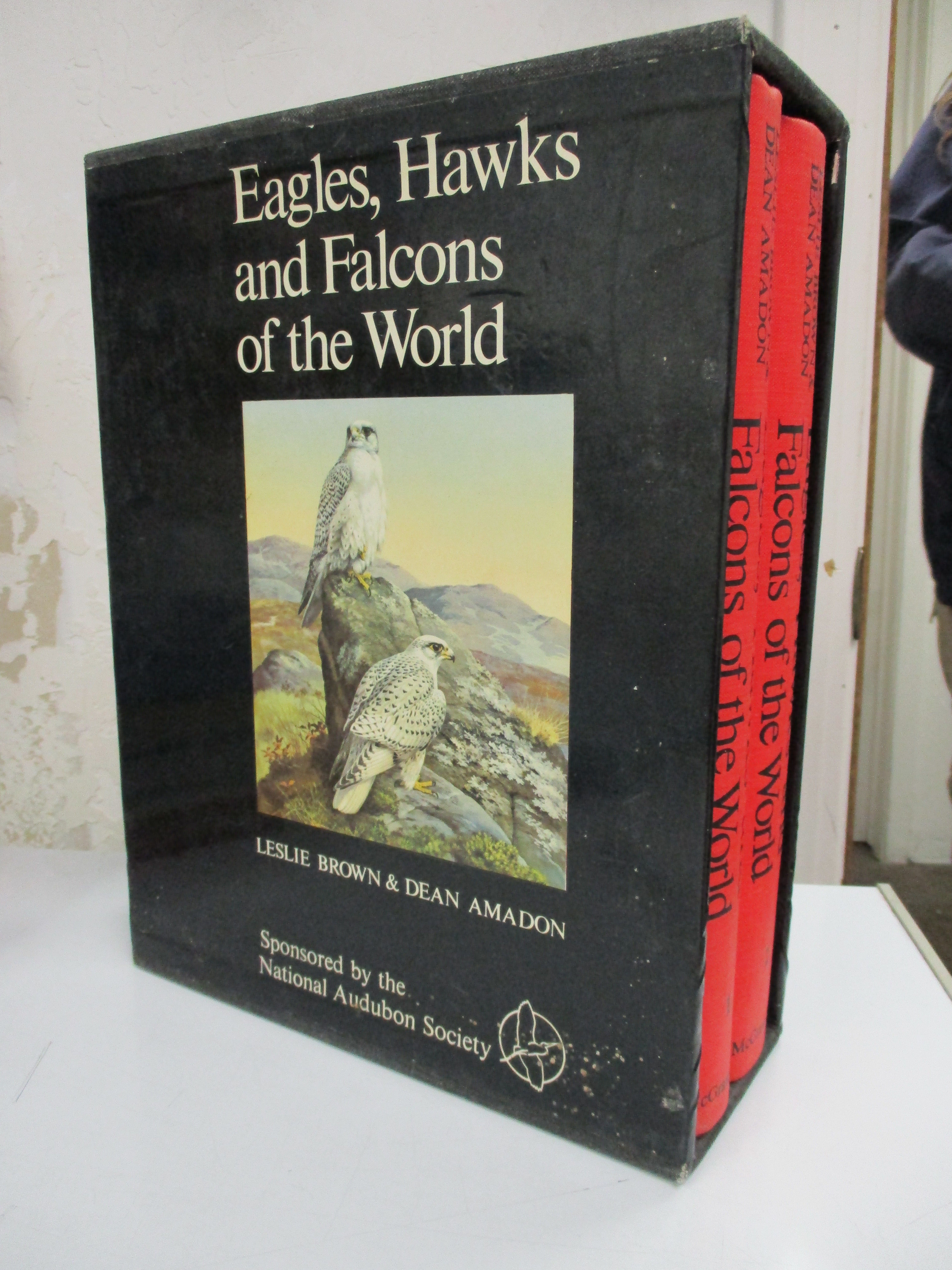 好評 and Hawks Eagles, Falcons Brown by volumes. 2 World. the of 洋書