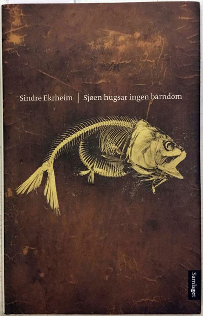 Sjøen hugsar ingen barndom. Dikt