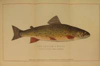 image of Brook Trout Fishing. An Account of a Trip of the Oquossoc Angling Association to Northern Maine in June, 1869. About Brook Trout
