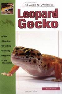 Leopard Geckos