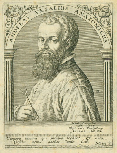 Engraved portrait by Johann Israel de Bry from Boissard's Bibliotheca illustrium virorum