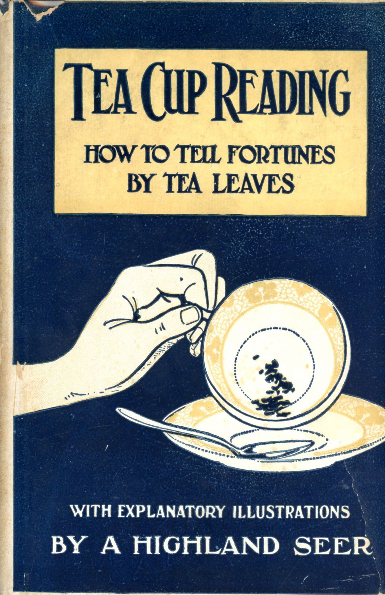 Tea Leaf Reading Cup Bí Quyết Đọc Lá Trà