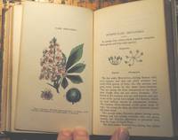 cover of Popular Botany