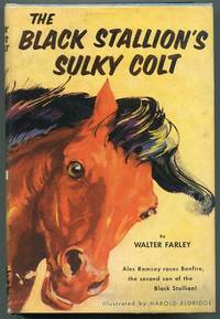 The Black Stallion's Sulky Colt