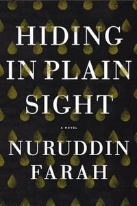 Hiding in Plain Sight