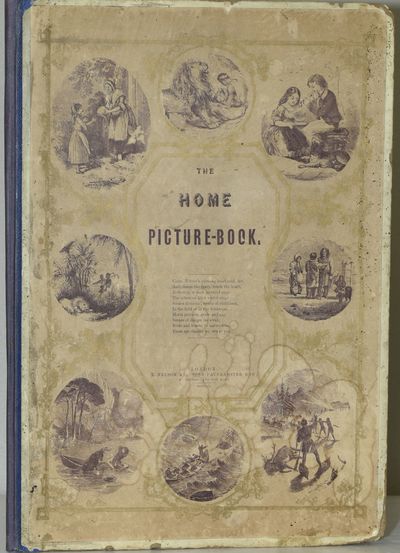 THE HOME PICTURE-BOOK