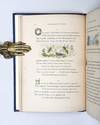 Entomology in Sport, and Entomology...; (photo 8)