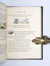 Entomology in Sport, and Entomology...; (photo 9)
