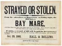 [Broadside] Strayed or Stolen