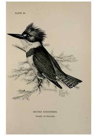 Reproducción/Reproduction 7180191511: Birdcraft :. New York :Macmillan Co.,c1897.