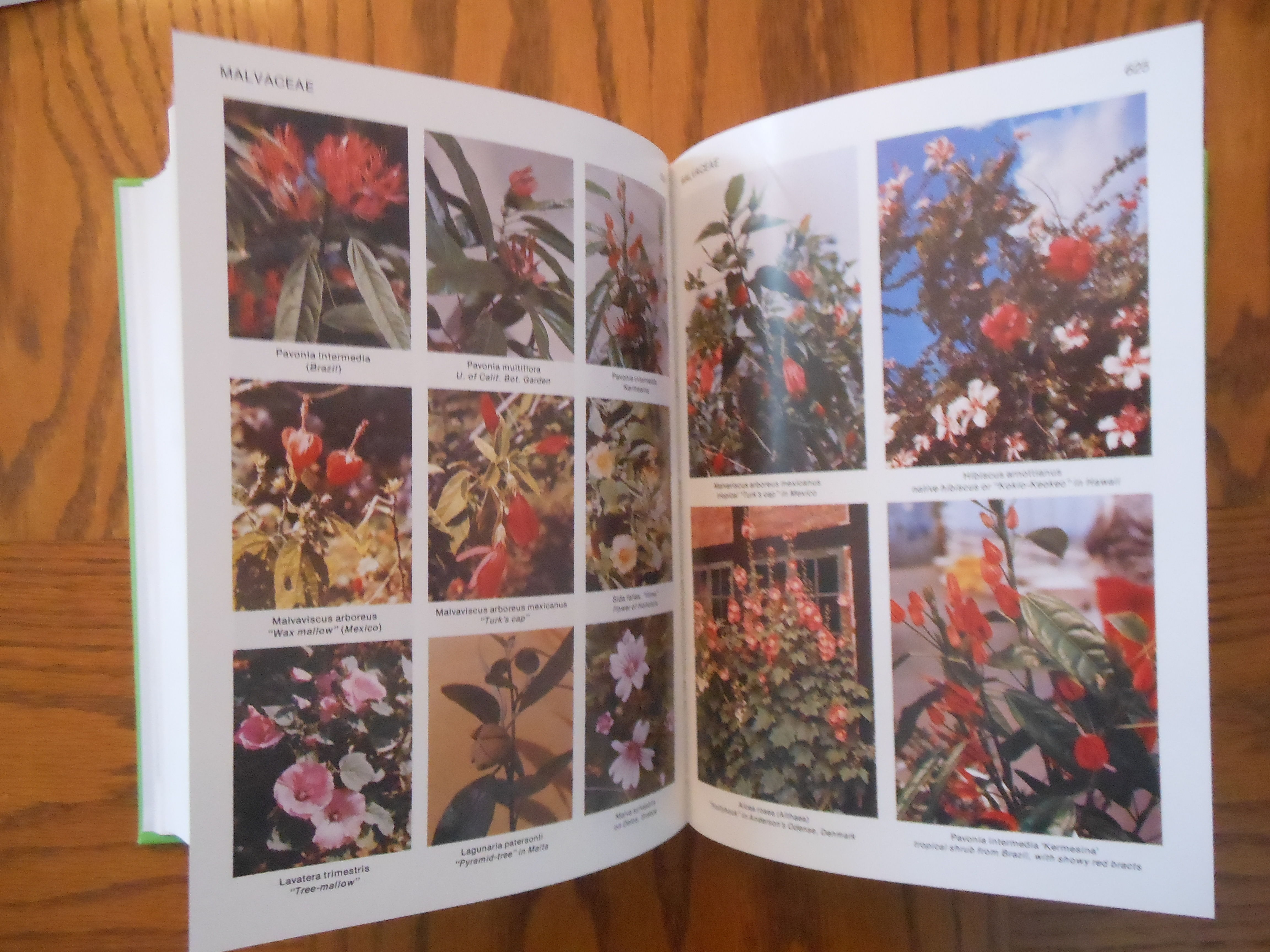 Tropica - Color Cyclopedia of Exotic Plants and Trees - for
