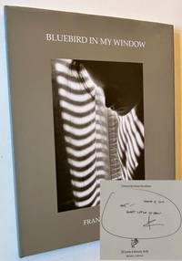 Bluebird in My Window