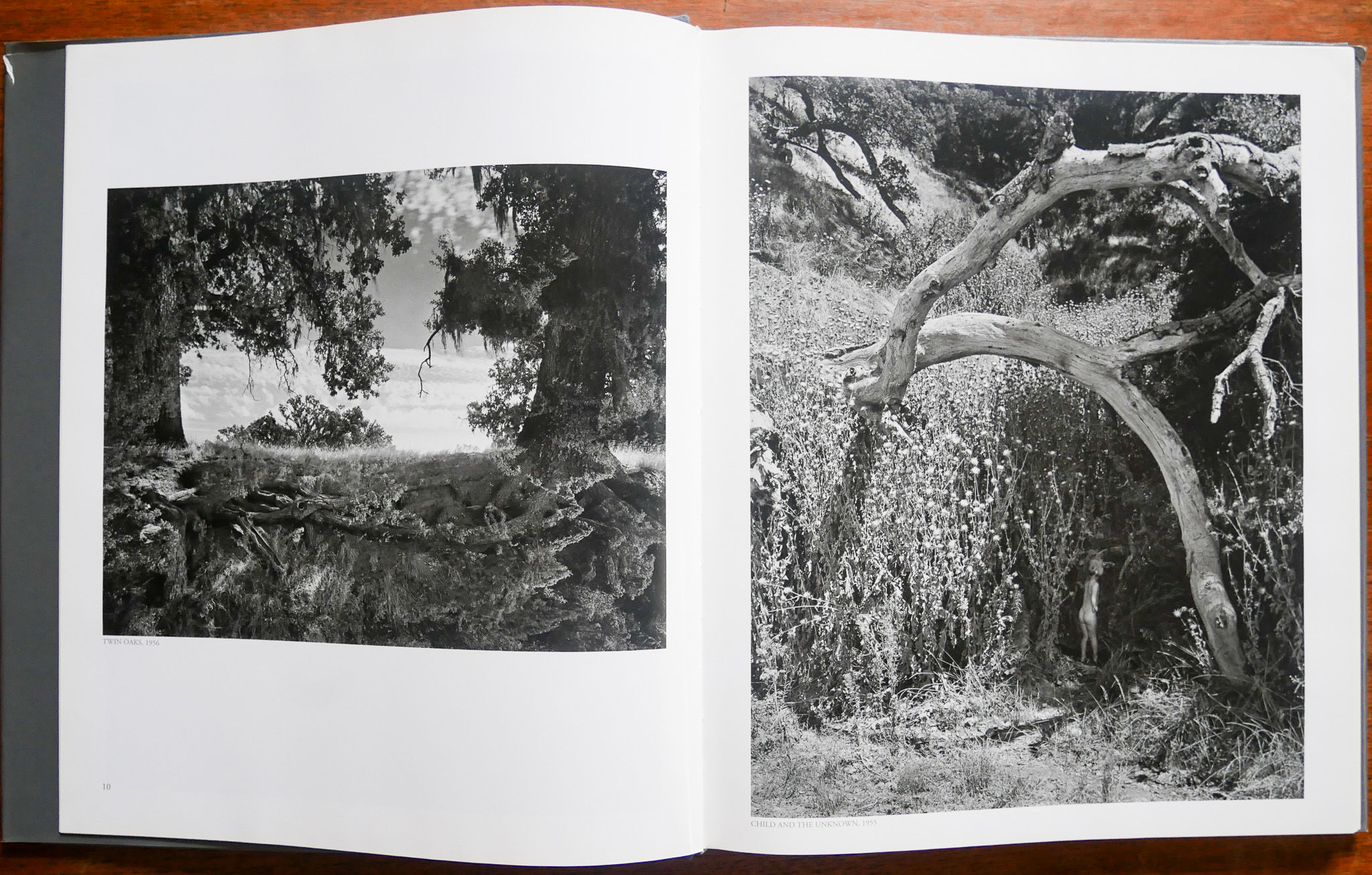 Wynn Bullock; The Enchanted Landscape Photographs 1940-1975 by 